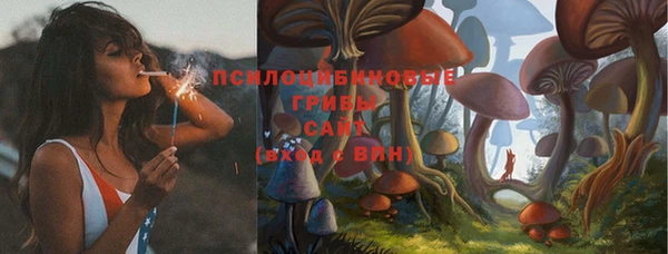 ПСИЛОЦИБИНОВЫЕ ГРИБЫ Алексеевка