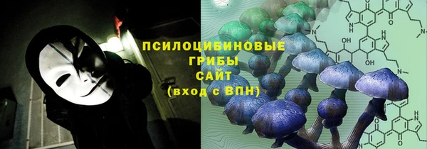 ПСИЛОЦИБИНОВЫЕ ГРИБЫ Алексеевка
