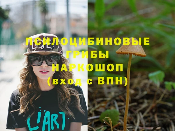 ПСИЛОЦИБИНОВЫЕ ГРИБЫ Алексеевка