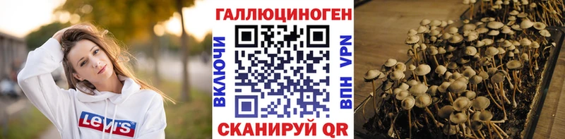 наркотики  ОМГ ОМГ   Галлюциногенные грибы GOLDEN TEACHER  Льгов 